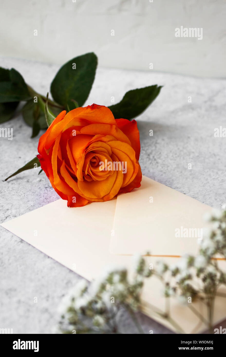 Schöne vertikale Ansicht von orange Rose mit einem Buchstaben auf grauem Untergrund. Stockfoto