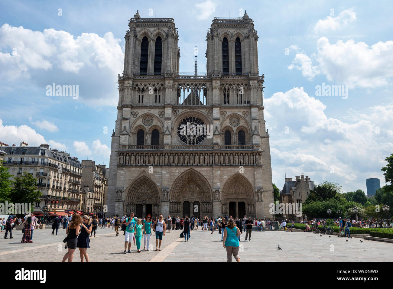 Westfassade der Kathedrale Notre-Dame gesehen vom Place Jean-Paul II, Ile de la Cité, Paris, Frankreich Stockfoto
