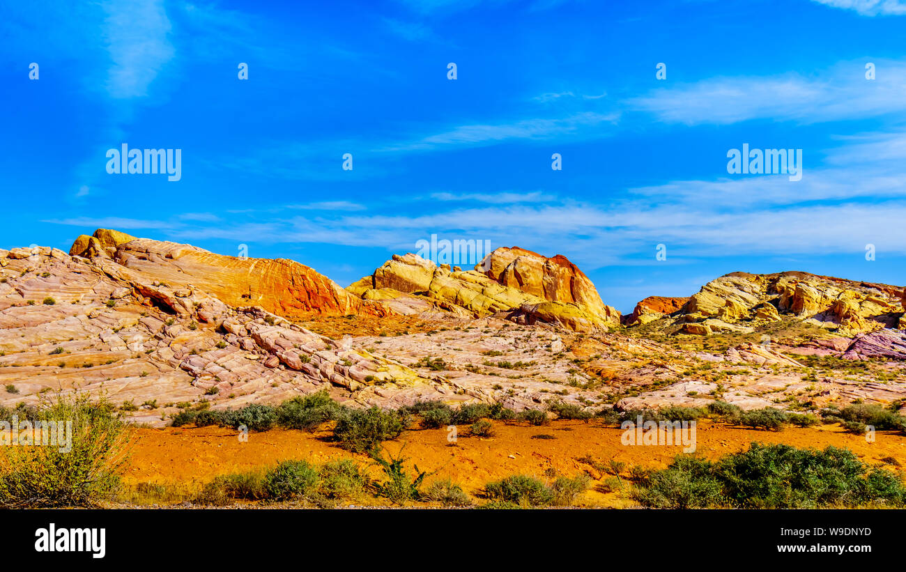 Die farbenfrohen roten, gelben und weißen Sandstein Felsformationen entlang der weißen Kuppel Straße im Valley of Fire State Park in Nevada, USA Stockfoto