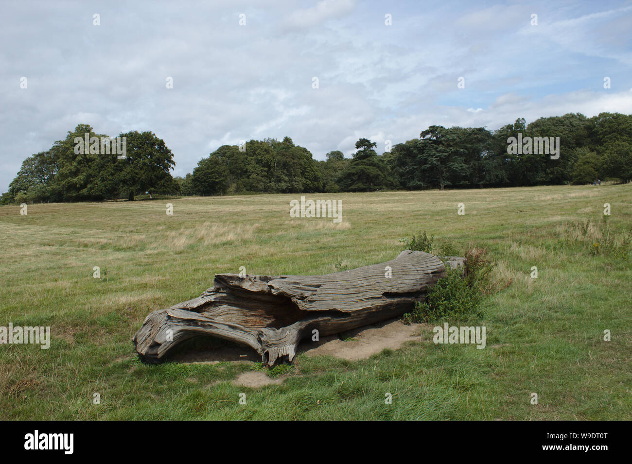 Broxbourne Landschaft Stockfoto