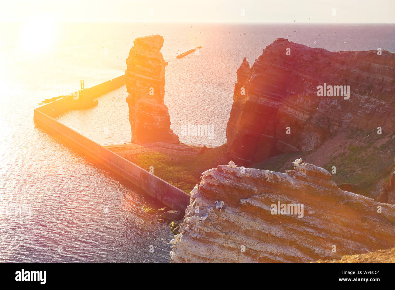 Die roten Sandsteinfelsen der deutschen Insel Helgoland mit der Formation "Lange Anna im warmen Abendlicht. Stockfoto