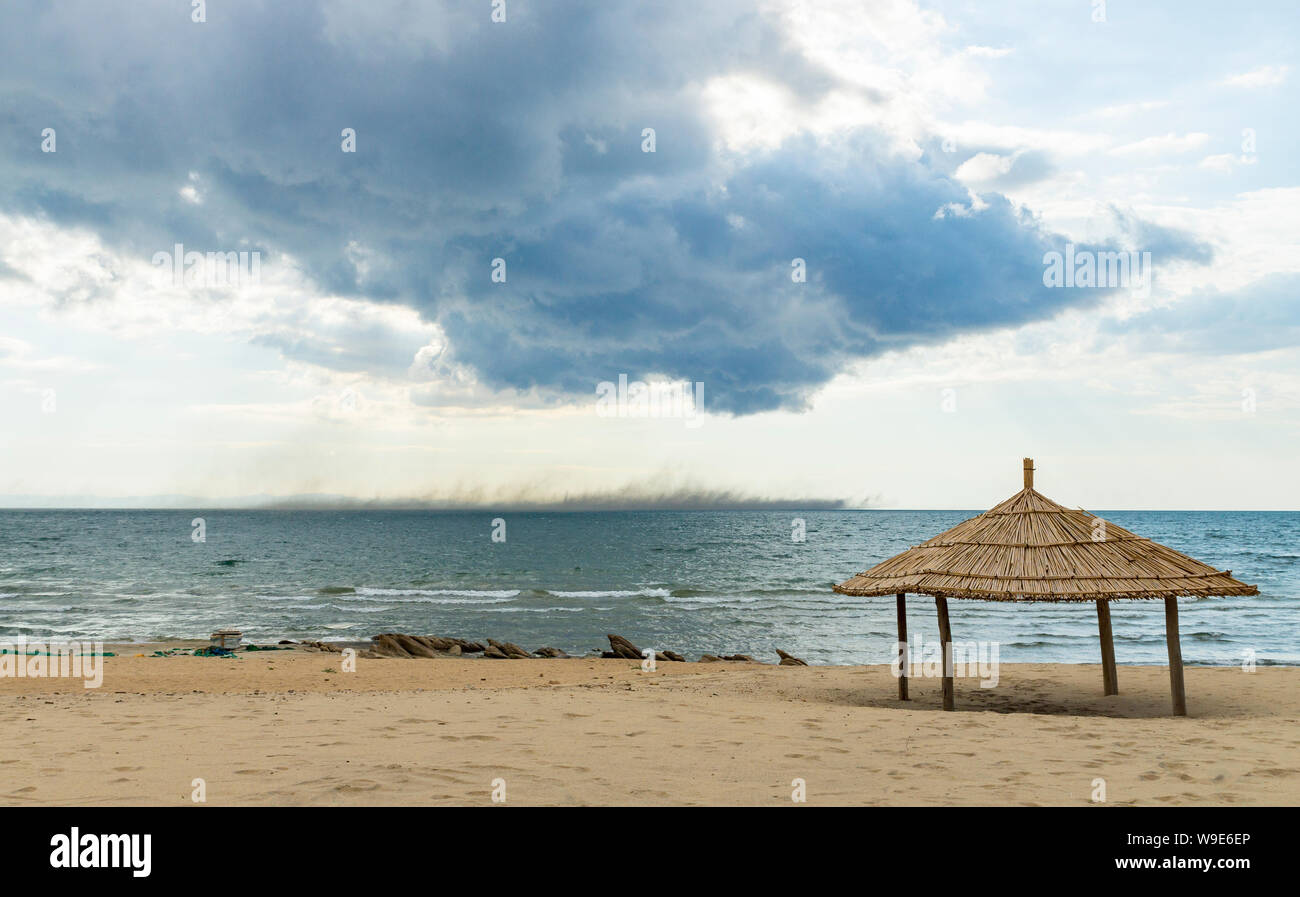 Schwarm See fliegen (Chaoborus edulis) im Lake Malawi Stockfoto