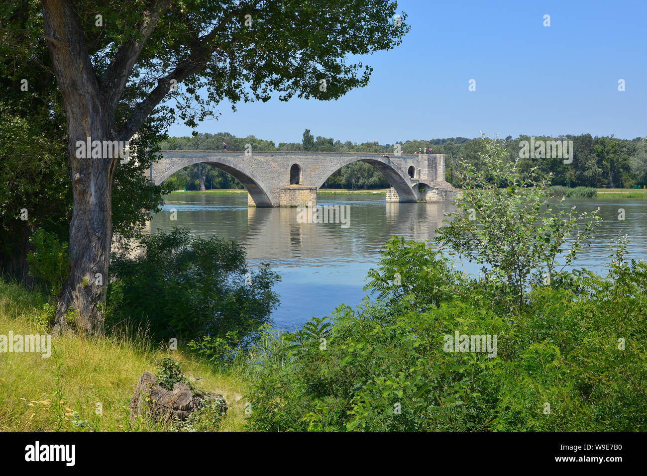 Berühmte Pont St. Bénézet auf der Petit Rhône in Avignon, eine Gemeinde im Südosten Frankreichs im Departement Vaucluse auf dem linken Ufer der Rhone Stockfoto