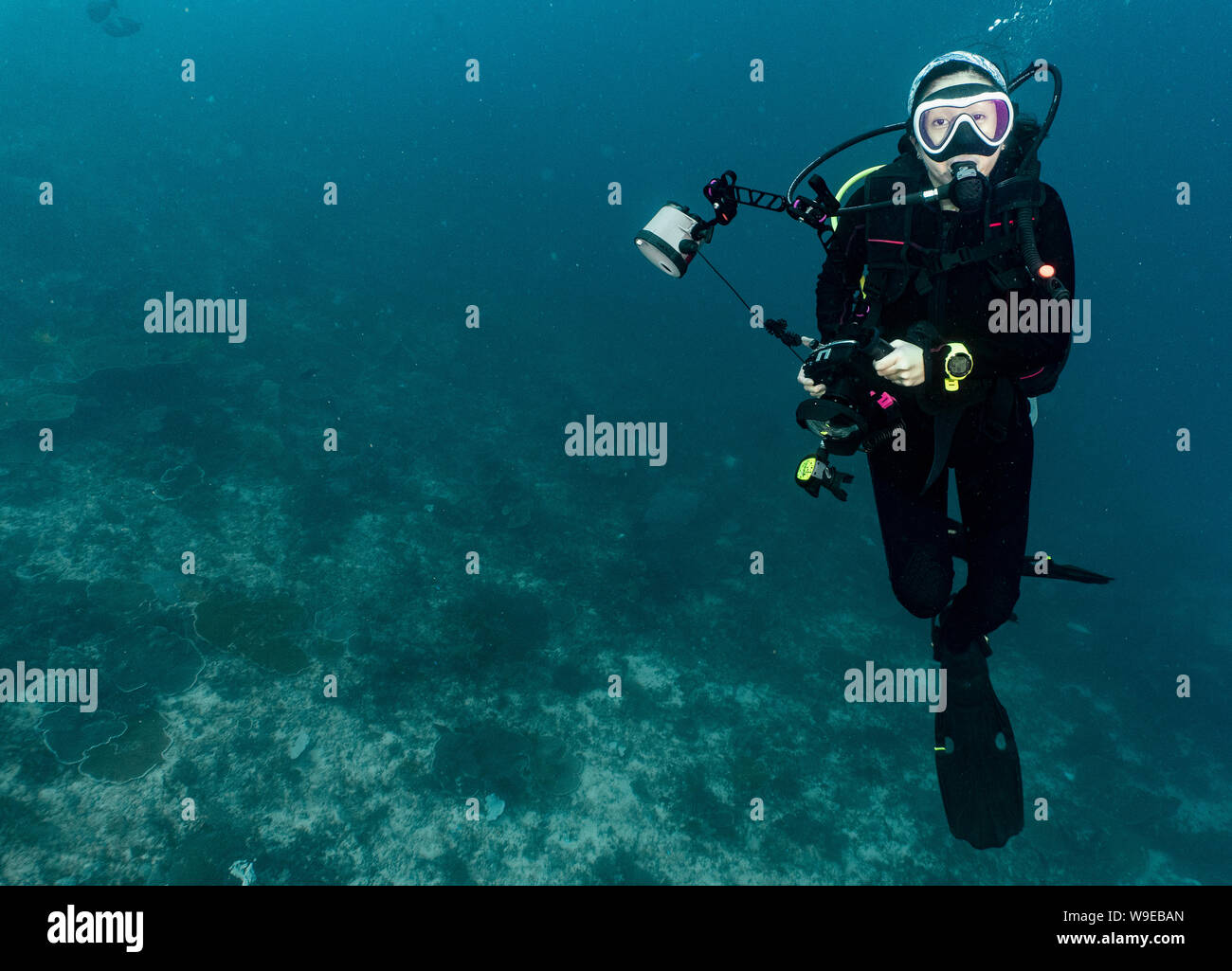 Weibliche Taucher mit Unterwasserkamera in Raja Ampat/Indonesien Stockfoto