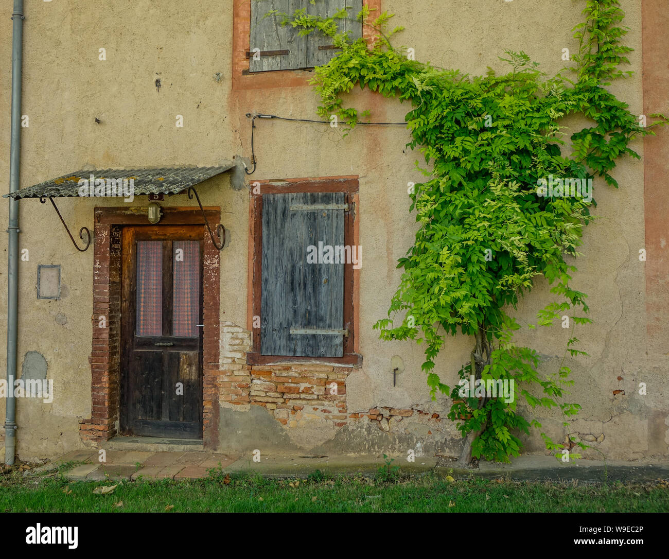 Lisle-sur-Tarn, Midi Pyrenees, Frankreich - 14. Juli 2017: Rustikales haus mit Reben neben dem Eingang Stockfoto