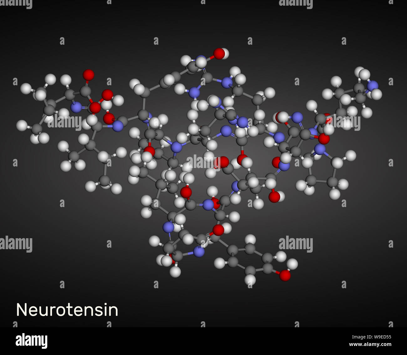 Neurotensin, 13 Aminosäuren neuropeptid Molekül. Kugel-und-stick Modell. 3D-Rendering Stockfoto