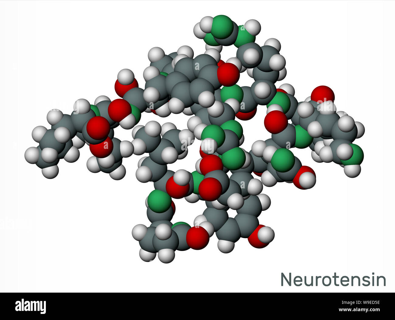 Neurotensin, 13 Aminosäuren neuropeptid Molekül. Modell. 3D-Rendering Stockfoto
