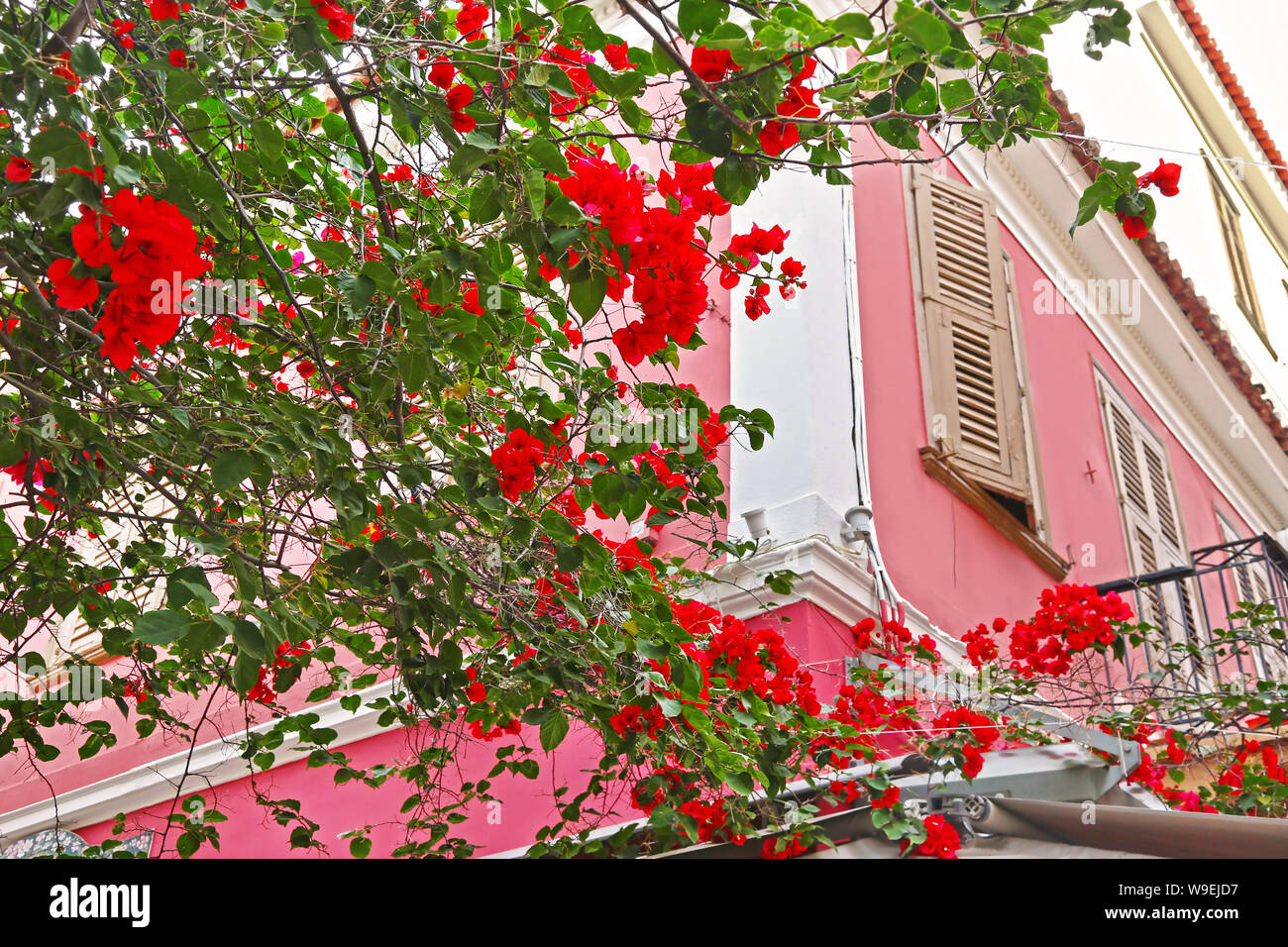 Traditionelle bunte Gebäude und rot Bougainvillea Blumen an Stadt Nafplio Griechenland Stockfoto