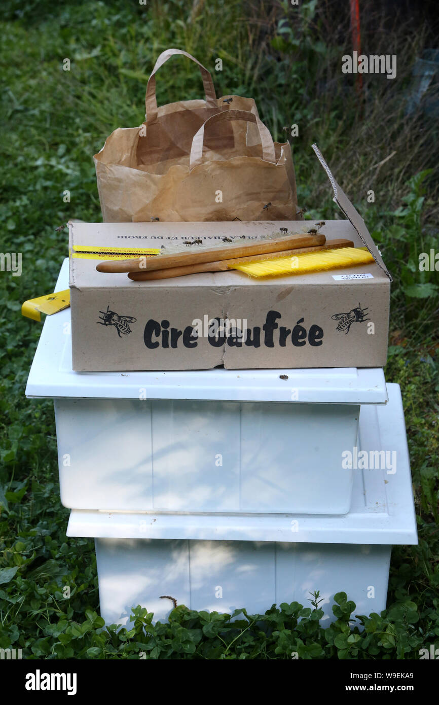 Bienenhaltung. /Bienenzucht. Stockfoto