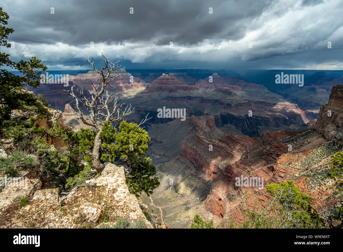 Herrliche Aussicht in herrlichen Grand Canyon, Arizona, USA Stockfoto
