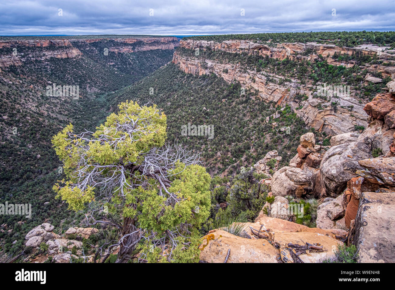 Mesa Verde National Park in Colorado, USA Stockfoto