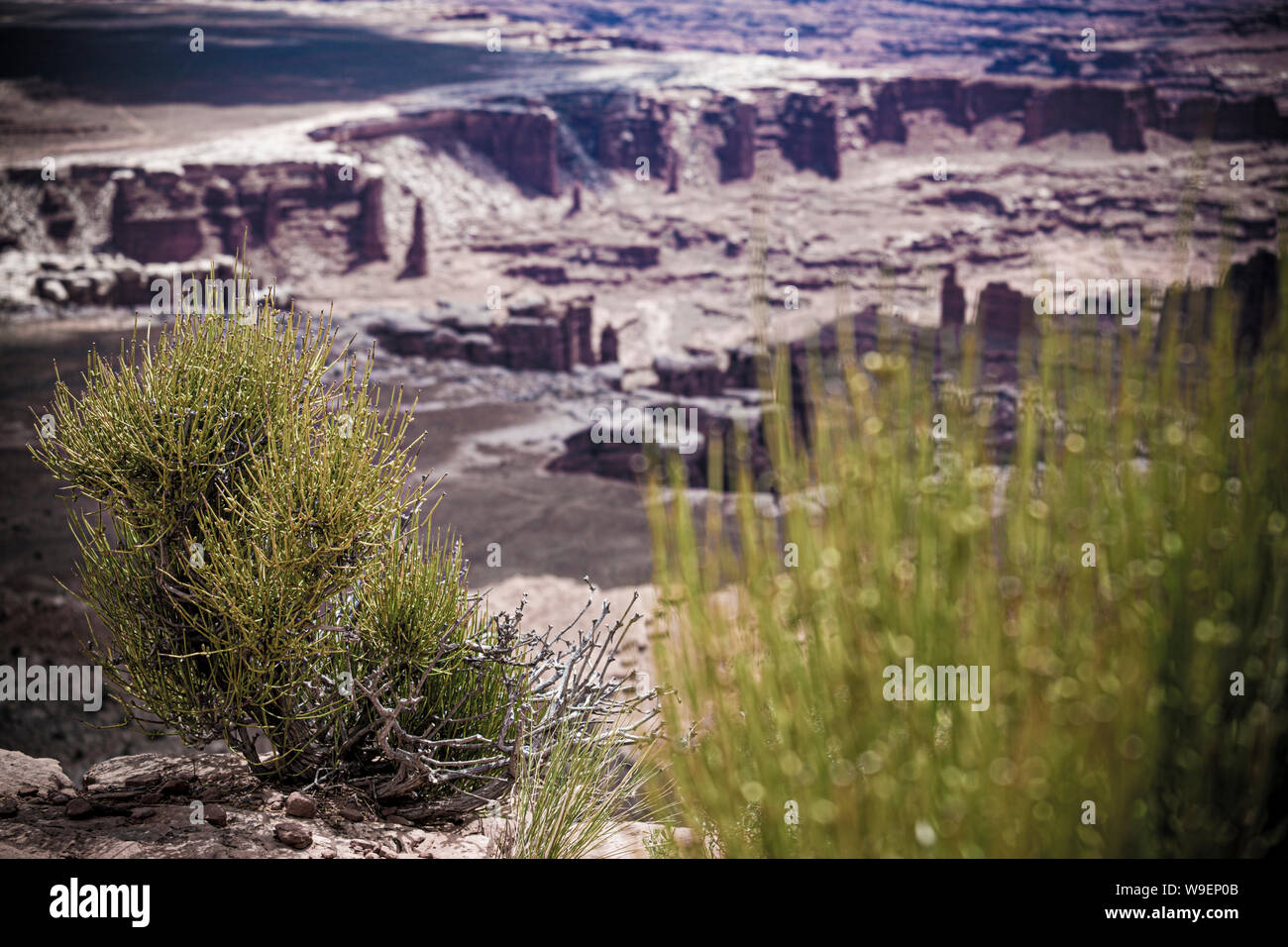 Canyonlands National Park in Utah, USA Stockfoto