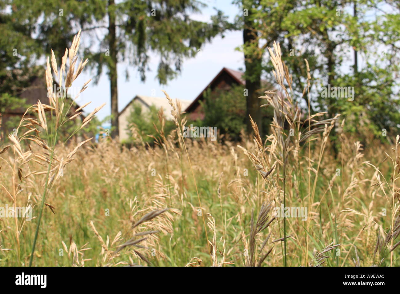 Landschaft in Podlachien, Polen Stockfoto