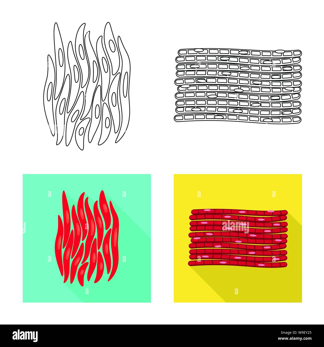 Vektor Design der Faser und muskulös Logo. Sammlung von Faser- und Körper vektor Illustration. Stock Vektor