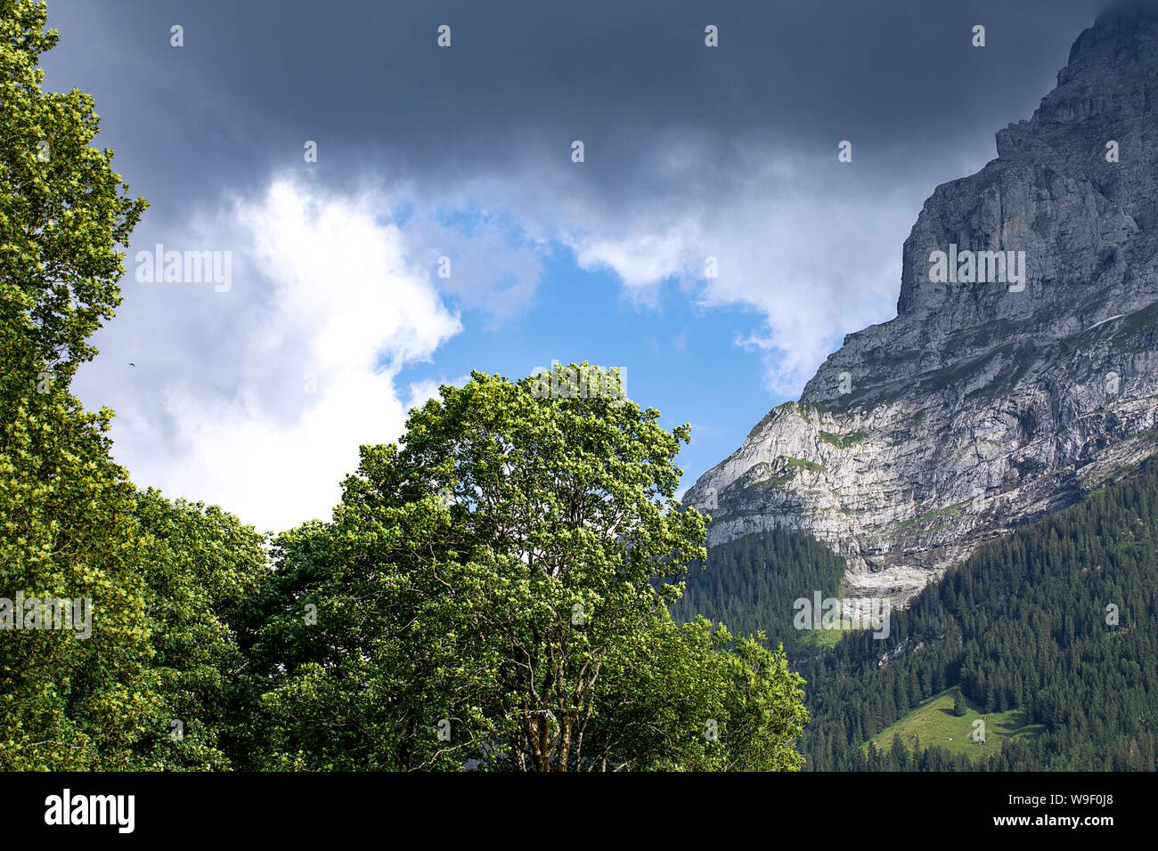 Cloudscape mit Baum und hohen Berg. Dramatische Himmel über dem Tal. Plötzliche Änderung in Wetter. Schweizer Alpen Landschaft. Stockfoto