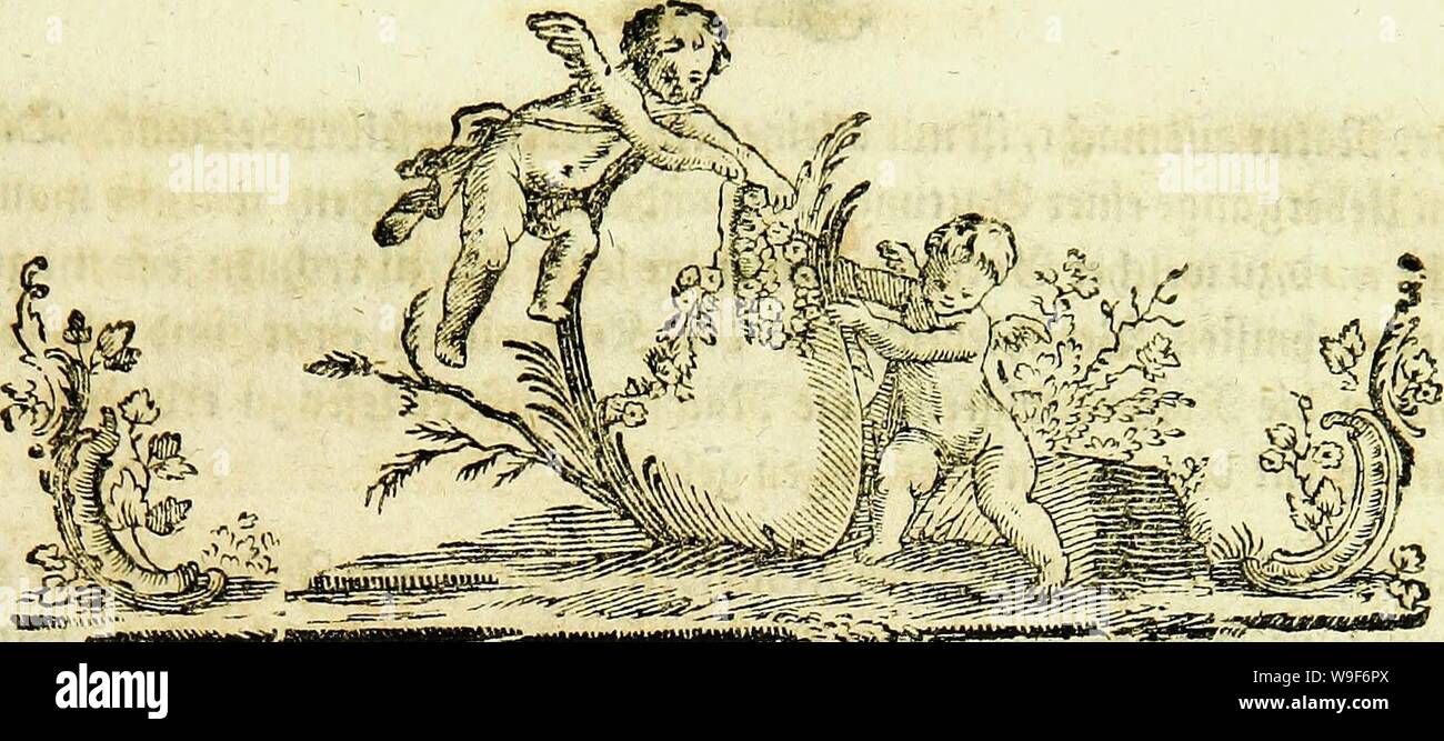 Archiv Bild von Seite 18 der Johann Euseb Voets und Beschreibungen. Johann Euseb Voets Beschreibungen und Abbildungen hartschaaligter Kämpfen, Coleoptera Linn. Aus dem original getreu übersetzt, mit der in selbigem fehlenden Synonymie und beständigen Kommentar versehen CUbiodiversity 1129764-9566 Jahr: 1793 ((Rfte £ £&gt;ri&gt; ttHttg Sfmf elenfe Eine t&gt; ett gußblattew&er SSotfw unf&gt; = &Lt;L?rfte Gattung. SCARABAEVS, Ääfffc - • "9 Befetttßc $ e Setwaettfjett. Ö" & 6 IRT "Sfifjffj & rnrr, t "o" auf Sterben fc"? # "1 QtUnU m6) innen J" Geflattert fsn", Uno & 3" n In&em fKutfen, Der $ Baft" J Der gfugeftetf Stockfoto