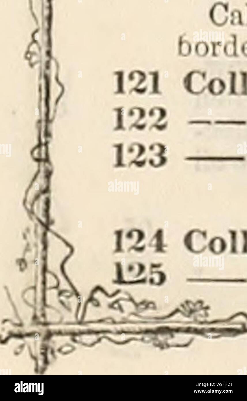 Archiv Bild von Seite 43 der Curtis, Cobb & Washburn's Amateur. Curtis, guide Cobb & Washburn's Amateur Kultivator zu den Blumen- und Gemüsegarten für 1878 curtiscobbwashbu 1878 Curt Jahr: 1878 (CL. BKIA. CLINTOXIA. N. VT. Ono., Laheliaccm. Eine hübsche kleine Anlage, der kompakten Wachstum, mit Blumen, die an die Lo-belia und sehr schön; erzeugt einen feinen Effekt im rustikalen Körben, Rock - Arbeit, Vasen, Kästchen oder als Einfassung. Hälfte - robustes jährliches. 118 Cliiitonia Pulchella. lluo, Gelb und Weiß; Zwerg- und Verj-prettj-. Ich ft. 110 Atropurpurea Grandiflora. Violett-Purpur; Margin Stockfoto