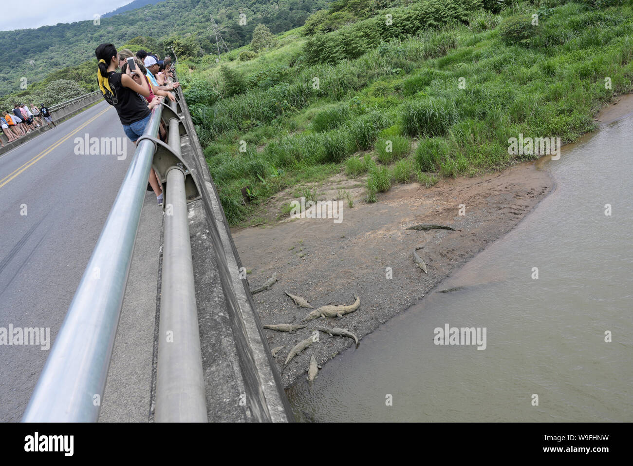 Tarcoles Fluss krokodil Anzeigen von Costa Rica Stockfoto