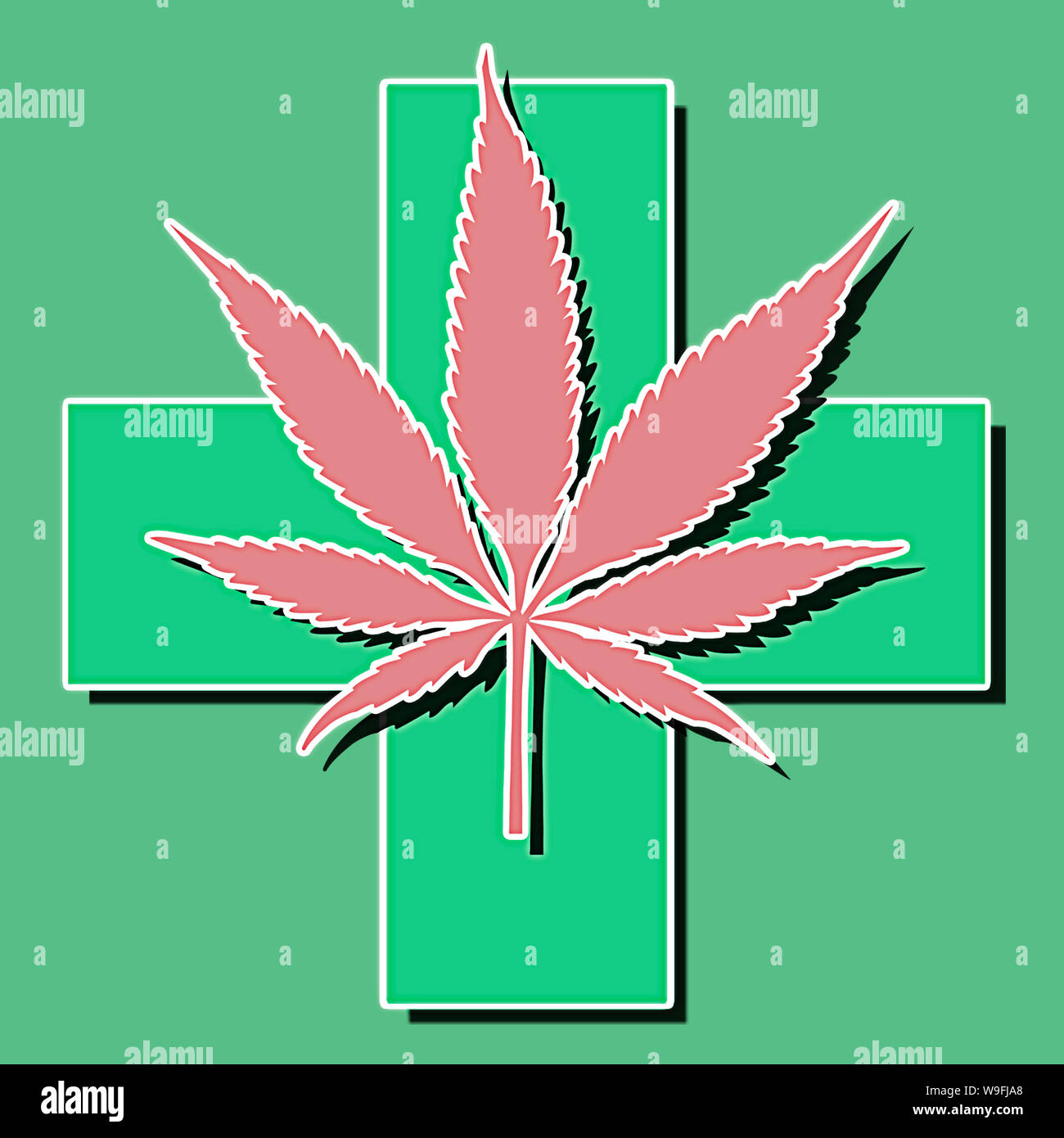 Grün und rosa Cannabis Blätter auf weißem Hintergrund wachsenden medizinischen Marihuana cbd isoliert Stockfoto