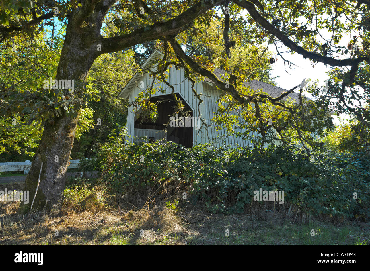 Irische Bend Covered Bridge an der Oregon State University, Corvallis, Oregon, jetzt als Fahrrad- und Wanderweg genutzt. Stockfoto