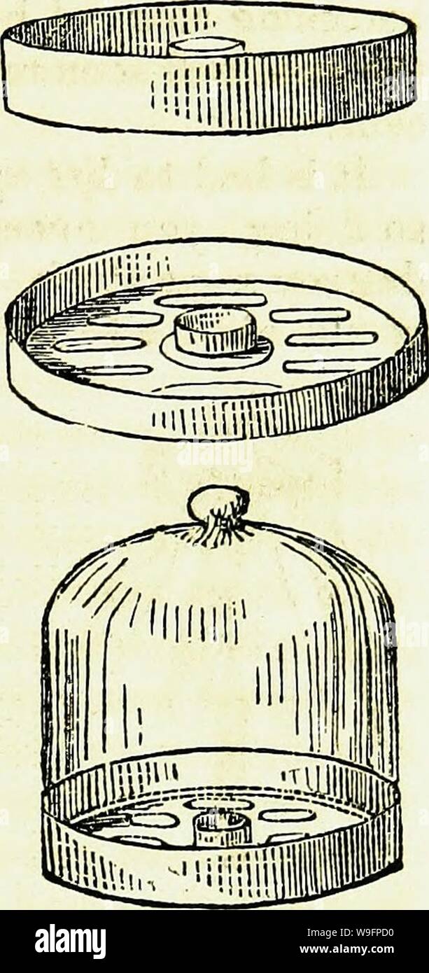 Archiv Bild von Seite 60 Der bienenkorb und Honigbienen;. Die Struktur und die Honig-Biene; mit einfachen Anweisungen für die Erlangung eines erheblichen jährlichen Einnahmen aus diesem Zweig der ländlichen Wirtschaft. .. 1231138 CUbiodiversity Jahr: 1852 (DER HONIG ERNTE. über Sie. Sie kann entweder in der Nähe oder auf der Oberseite der Bienenstock mit der Röhre, die in eine Bohrung in der Oberseite des Hive platziert werden. Es schlecht ist, dazu verpflichtet sein kann, die Bienen im Winter zu füttern, als, Absteigend an der Unterseite des Hive, um die Nahrung zu erhalten, setzen Sie sich selbst zu kalt, und viele umkommen; durch frühzeitige Prüfung im Herbst, und Vereinenden schwache Nesselsucht, zu Stockfoto