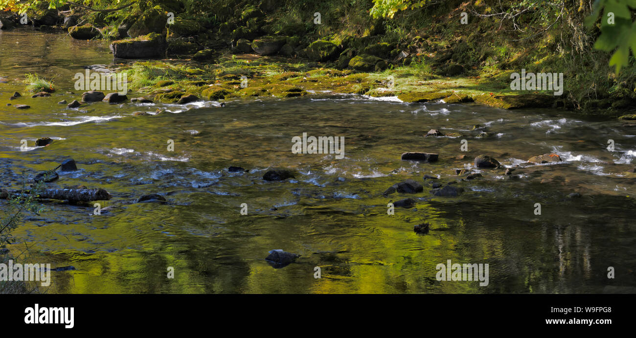 Wasser Reflexionen im Luckiamute River in der Nähe von Hoskins, Oregon, in der Coast Range. Stockfoto