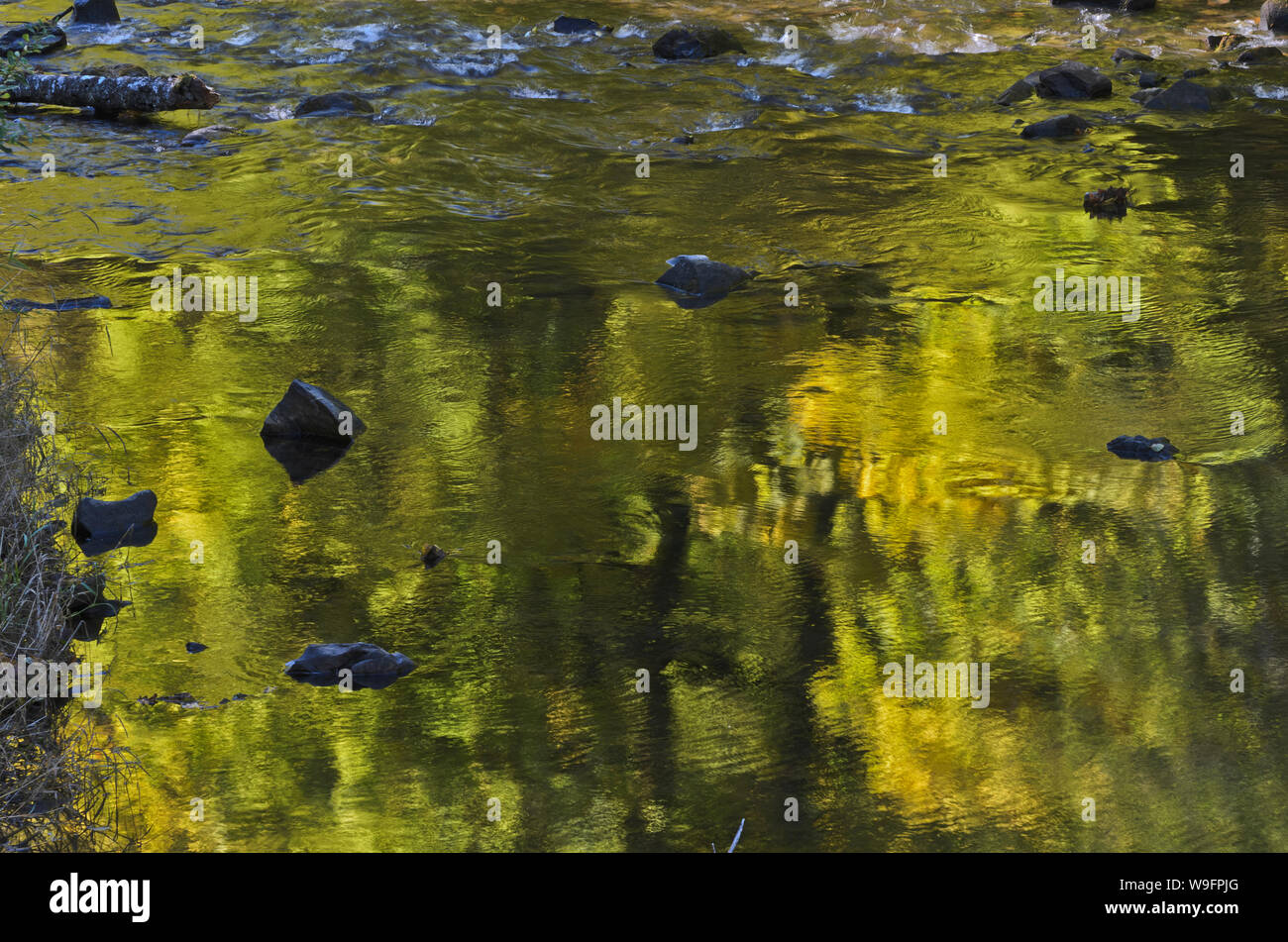 Wasser Reflexionen im Luckiamute River in der Nähe von Hoskins, Oregon, in der Coast Range. Stockfoto