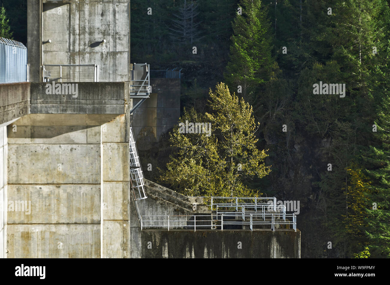 Grüne Peter Damm, eine Corp der Ingenieure Projekt, impounds Grüne Peter See auf der mittleren Santiam River, in der Nähe von Sweet Home, Oregon, in den Kaskaden. Stockfoto