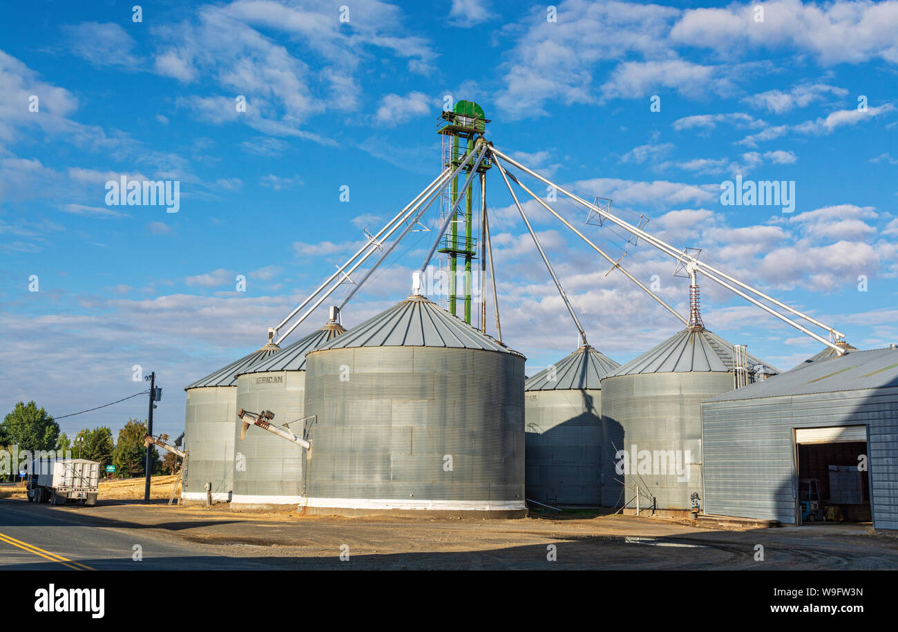 Washington, Tekoa, runde Korn-lagerung-Strukturen Stockfoto