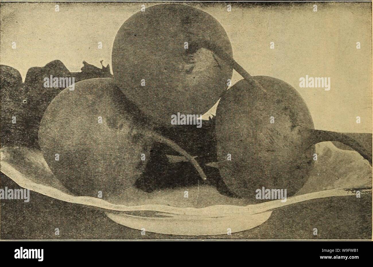 6 1 1938 Stockfotos 6 1 1938 Bilder Alamy