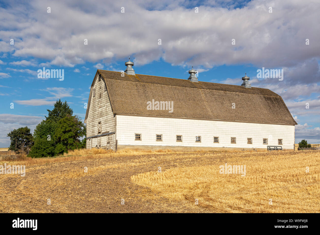 Washington, Palouse Region, Herbst nach der Ernte, Waterman Straße, weißen Scheune, Weizenfelder Stockfoto