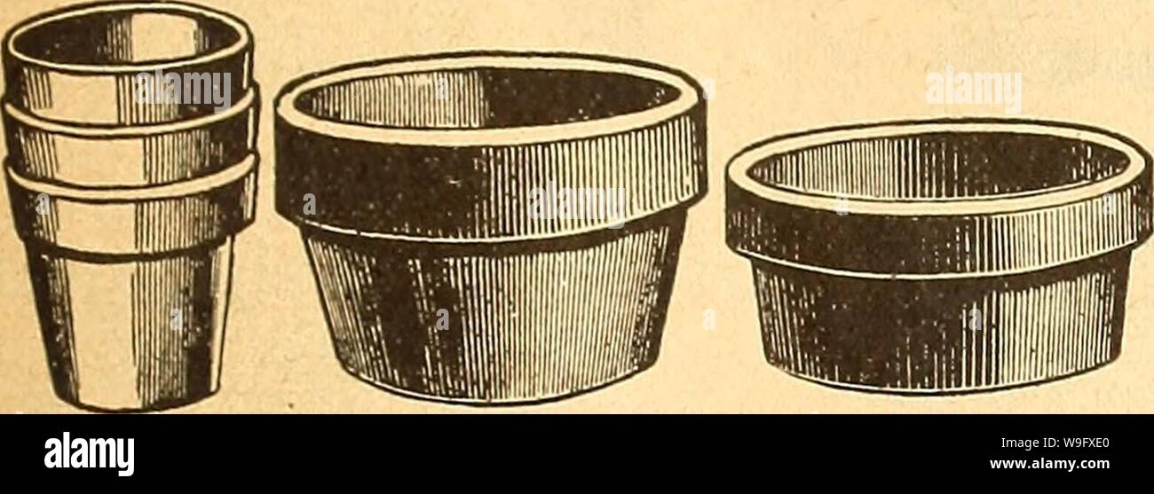 Archiv Bild von Seite 78 der Currie's Farm und Garten jährliche. Currie's Farm und Garten jährliche: Frühling 1925 50 Jahre curriesfarmgarde 19 curr 8 Jahr: 1925 (Philadelphia Spargel Bnnoher Philatlclphla Asparnsnis Bnncherâ Standard Größe. Die Bündel 4 bis 51/2 Zoll von 7 bis 10 cm lang. $ 3.00. Isparais KnifeâV Form, schneiden Ende gut jäten Messer, $ 0,50; per Mail 57 Spargel KnifeâSaw Form, $ 0.50 per mail Mais Pflanzmaschine AcmeâA einfache, haftet der Pflanzmaschine. Normalpapier, $ 1,20 mit Kürbiskerne Attachment, 1,40 Mais Slieller', 'Fnnions âSimple, stark, schnell; Popcorn befestigen- 1-90 .57 Asparagu Stockfoto
