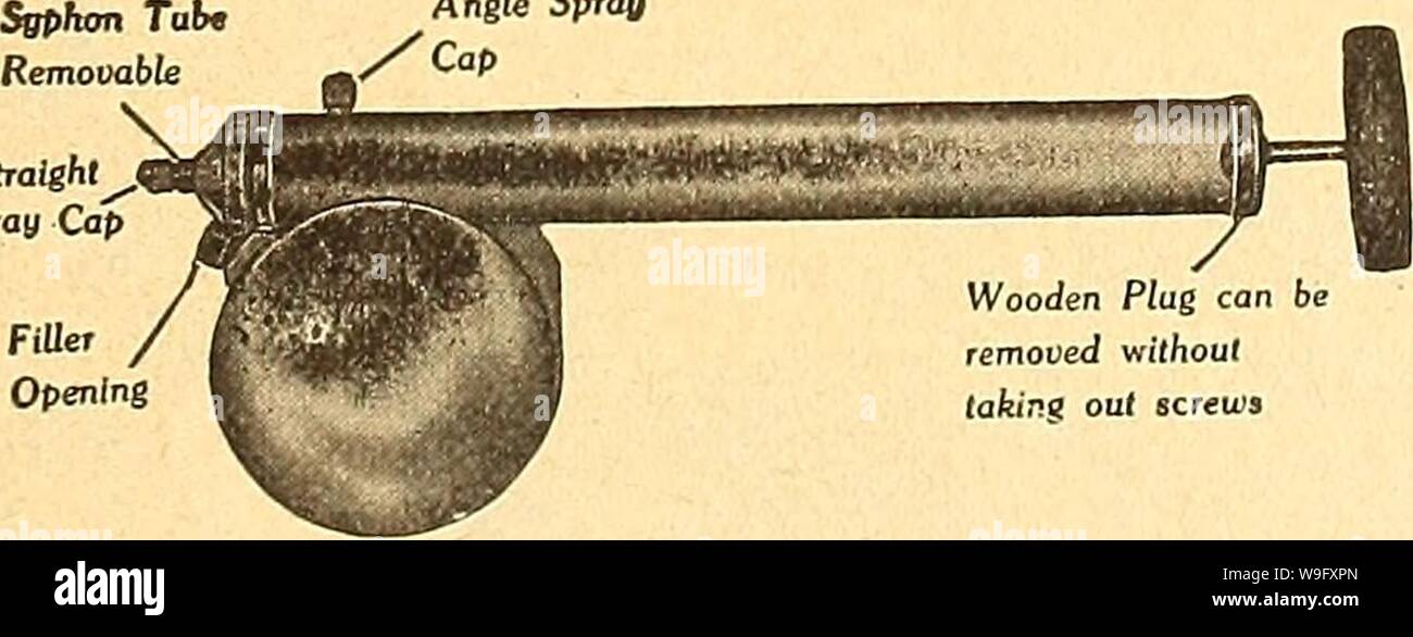 Archiv Bild von Seite 80 Currie's Farm und Garten jährliche. Currie's Farm und Garten jährliche: Frühling 1925 50 Jahre curriesfarmgarde 19 curr_8 Jahr: 1925 (Tank aus schwerem verzinktem Eisen, drei Litern Fassungsvermögen, alle Nähte absolut dicht geschwitzt, große Einfüllöffnung. Pumpe hat extra schwere Zinn cylin-der Kolben mit Öl behandelt. Geeignet für allgemeinen Einsatz, mit einer kraftvollen und breiten Spray. Das Dienstprogramm Nr. 90 ein Faß PUBIP. Es ist, ausreichend großen zwei Noz-Düsen, und kann den Startton auf jedem Fass mit drei Schrauben befestigt werden. Alle Teile sind aus Messing. Pumpe ist Con-structed mit Mec Stockfoto