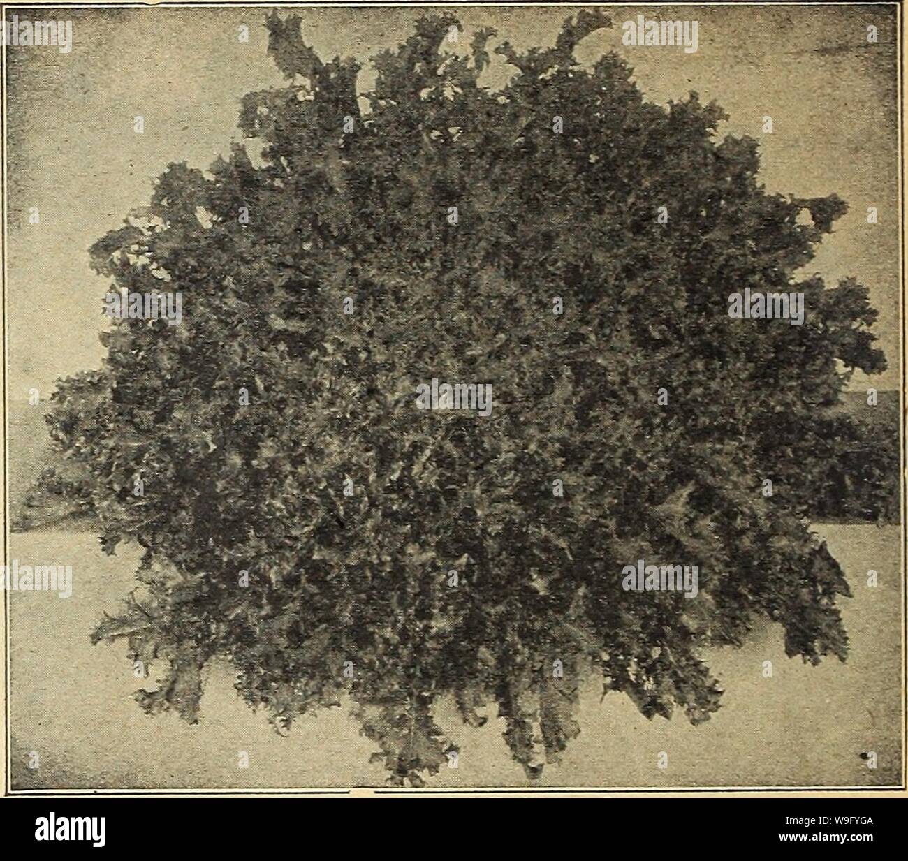 6 1 1938 Stockfotos 6 1 1938 Bilder Alamy