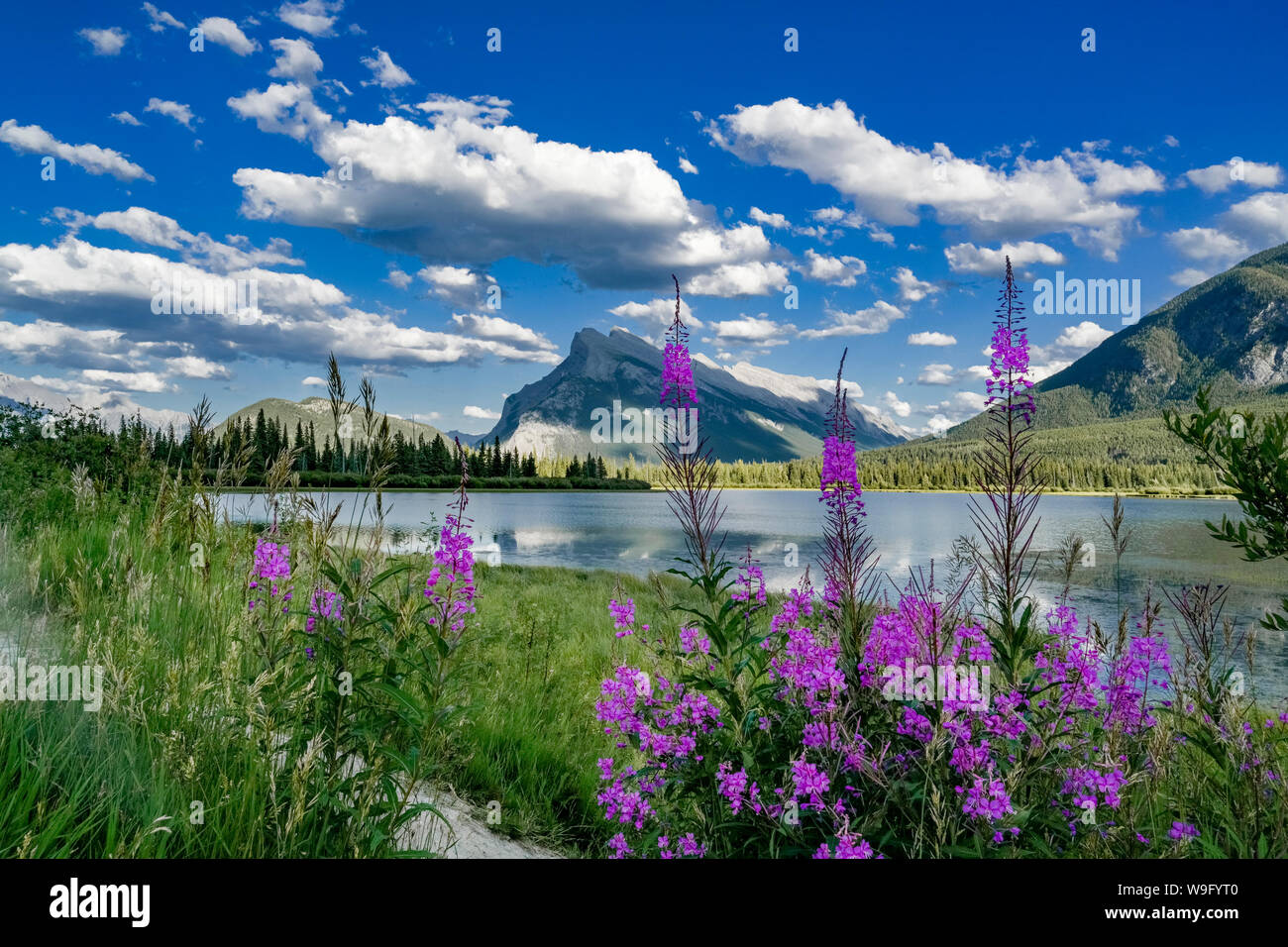 Banff Nationalpark, Alberta, Kanada Stockfoto