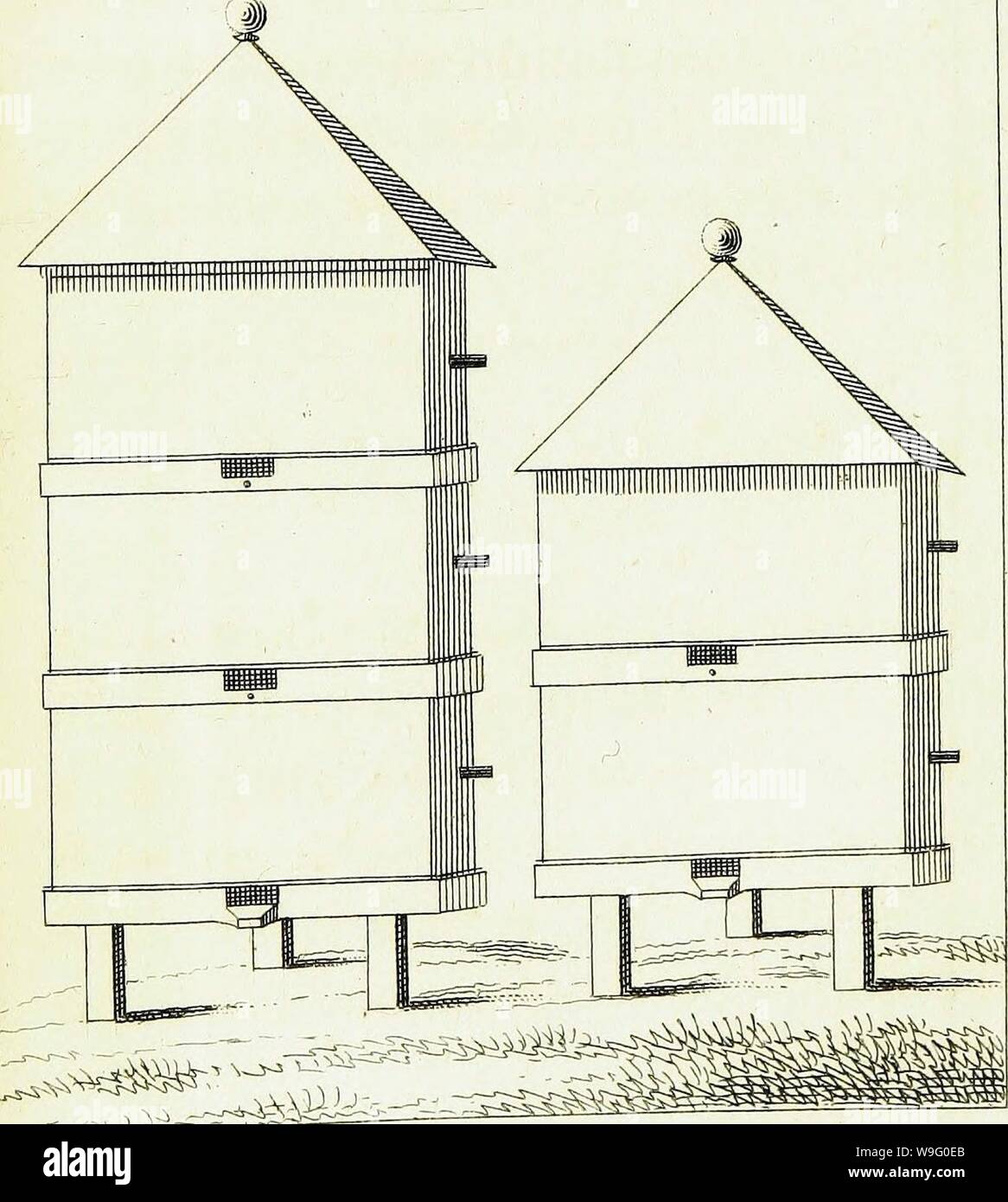 Archiv Bild von Seite 86 der "Traité sur le Gouvernement des. "Traité sur le Gouvernement des abeilles CUbiodiversity Jahr: 1816 1178837 (jV. 4-Faye-yo Stockfoto