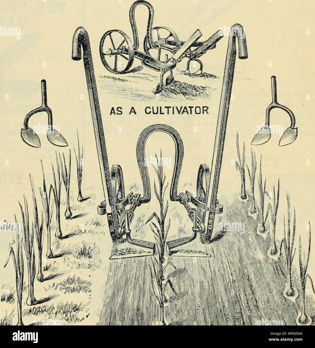 Archiv Bild von Seite 88 Currie Bros' Gartenbau guide. Currie Bros.' Gartenbau Guide: Frühjahr 1888 curriebroshortic 1888 curr Jahr: 1888 (reines KNOCHENMEHL. Unsere Knochenmehl ist die Masse in Ordnung, und ist von großem Wert mit Boden für Blumenerde Zwecke, für die ein Teil der Mahlzeit zu fünfzig der Boden ist über die rechten Anteil gemischt. Es ist von unschätzbarem Wert für die kopfdüngung Rasen; 5-lbs-Paket, 30 cts.; 10-lbs-Paket, 50 cts.; 25-lbs-Paket, $ 1,00; 50 lbs, 1,50 $; 100 Pfund, $ 2,75; 200-lbs-Hag, $ 5,00. Peruanische GUANO. Guano ist einer der besten und stärksten Stimulanzien für Pflanzen und gr Stockfoto