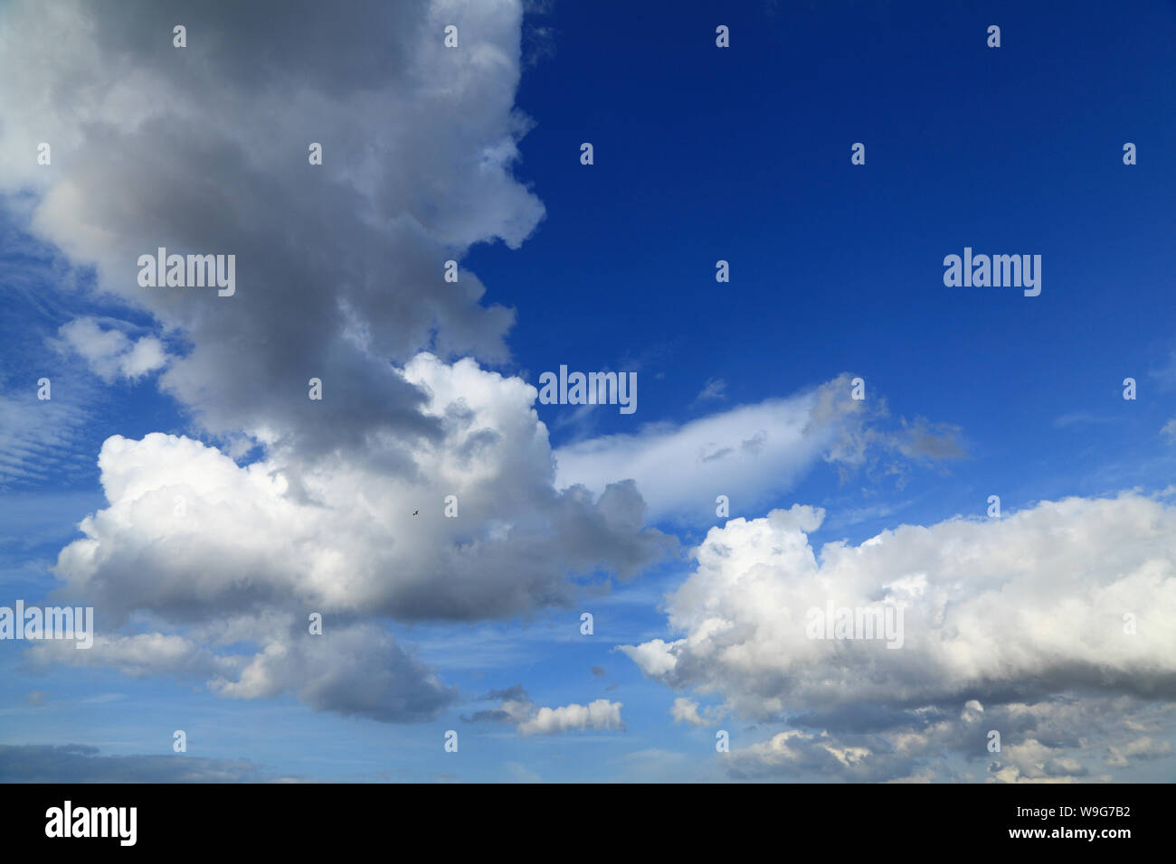 Weiß, Grau, dunkle Wolke, Wolken, blauer Himmel, Himmel, Meteorologie, Wetter Stockfoto