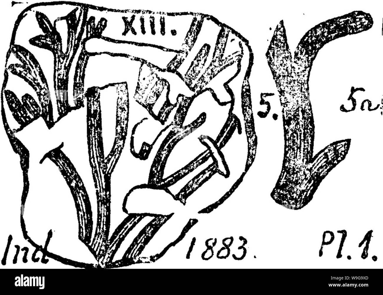 Archiv Bild von Seite 155 Wörterbuch der Fossilien Stockfoto