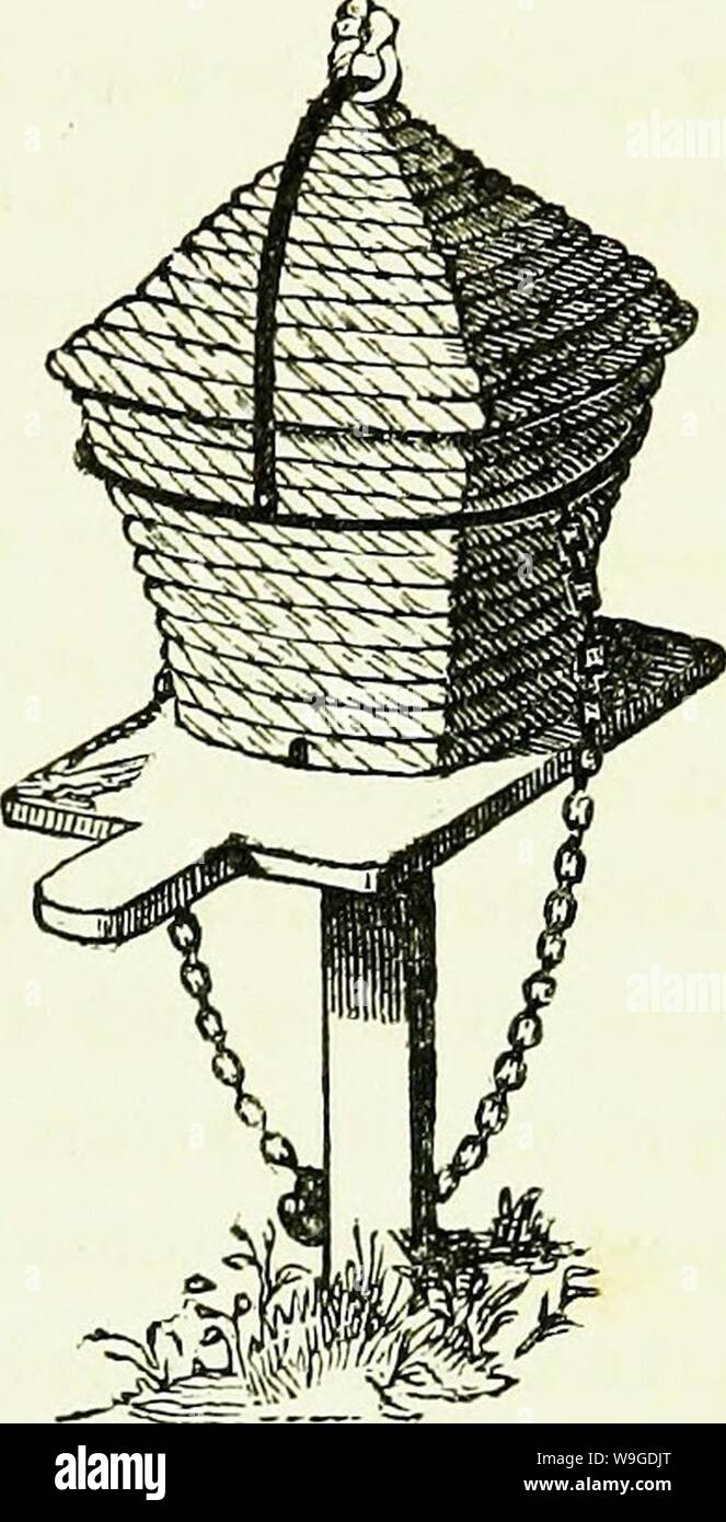 Archiv Bild ab Seite 190 der Bienen ihre natürliche Geschichte und. Bienen: Ihre natürliche Geschichte und Allgemeine Verwaltung: bestehend aus einem vollen und experimentelle Untersuchung der verschiedenen Systeme der einheimischen und ausländischen apiarians; mit einem analytischen Darlegung der Fehler der Theorie der Huber; enthält auch die neuesten Entdeckungen und Verbesserungen in jeder Abteilung der Imkerei, mit einer Beschreibung der wichtigsten genehmigt Nesselsucht jetzt in Gebrauch CUbiodiversity Jahr: 1842 1178150 (Schutz gegen Räuber. 165 vierbeinige Tier nimmt Honig, Bienenkorb, und alle. Wir hatten so oft von den Verwüstungen der t erlitt Stockfoto