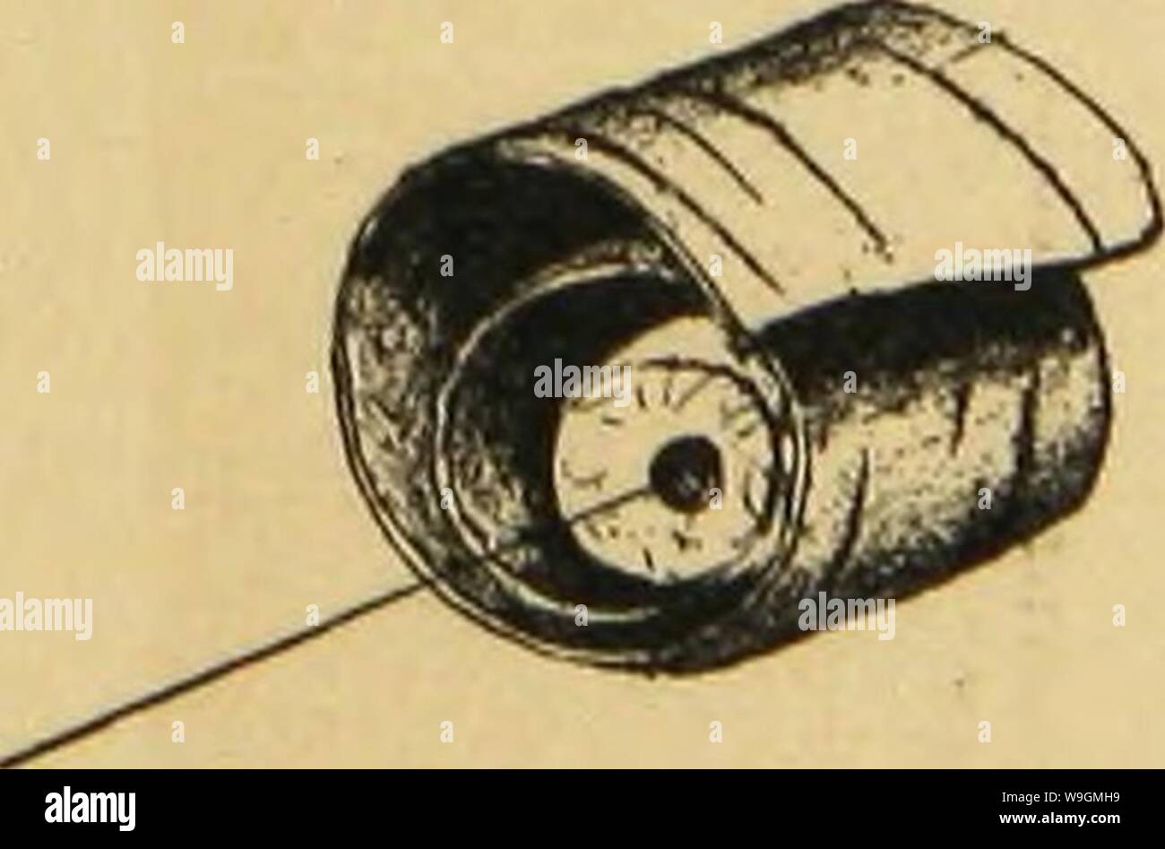 Archiv Bild von Seite 288 des amerikanischen Spinnen und ihre Spinnen. Amerikanische spinnen und ihre Spinnen. Eine natürliche Geschichte der orbweaving Spinnen der Vereinigten Staaten, insbesondere im Hinblick auf ihre Branche und Gewohnheiten CUbiodiversity 1121211-9742 Jahr: 1889 (II. In der Regel werden die verschiedenen Gruppen der Orbweavers unterscheiden sich voneinander und in sich in charakteristischen nest Formen einverstanden. Die Form in jeder Familie vorherrschenden im Wesentlichen die gleiche ist; jede Art scheint zu turVa - "kontinuierlich zu einem charakteristischen Form; es gibt aber riations. Â°Â® deutliche Unterschiede in der Gewohnheit des bestimmten sp Stockfoto