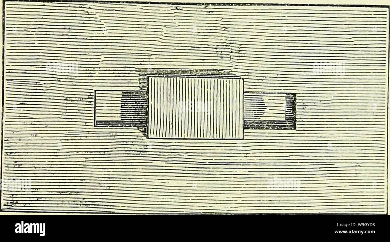 Archiv Bild ab Seite 418 der Biene und ihre Zucht sterben. Die Biene und ihre Zucht mit beweglichen Waben in Gegenden ohne Spätsommertracht CUbiodiversity 255004 Jahr: 1869 (371 Siß. 40. gesoffen Serben. 3m: nähren $ eranfct) auüdjung werden § amen betratfite Mann nicken) $ ig. 43 auf. 373. 8. n ber TOte ihre Breite ber ftronttoanb totrb, ä $ nltd & Tote bei ber Sagerbeute (. 363 unter 2), eine 12 30 Uhr lange, 4 SSoß breite unb 3/4 3 oli tiefe ftinne v fytg - 41. gemadjt unb in ber gjfflte mit 1963&gt; 3 oü tief anfge eingelaffenen unb -- Nagelten, 6 3 Ach langen 23 rettd) KN-bebedt. 2) § 3 eingelaffene Srettd&gt; n Stockfoto