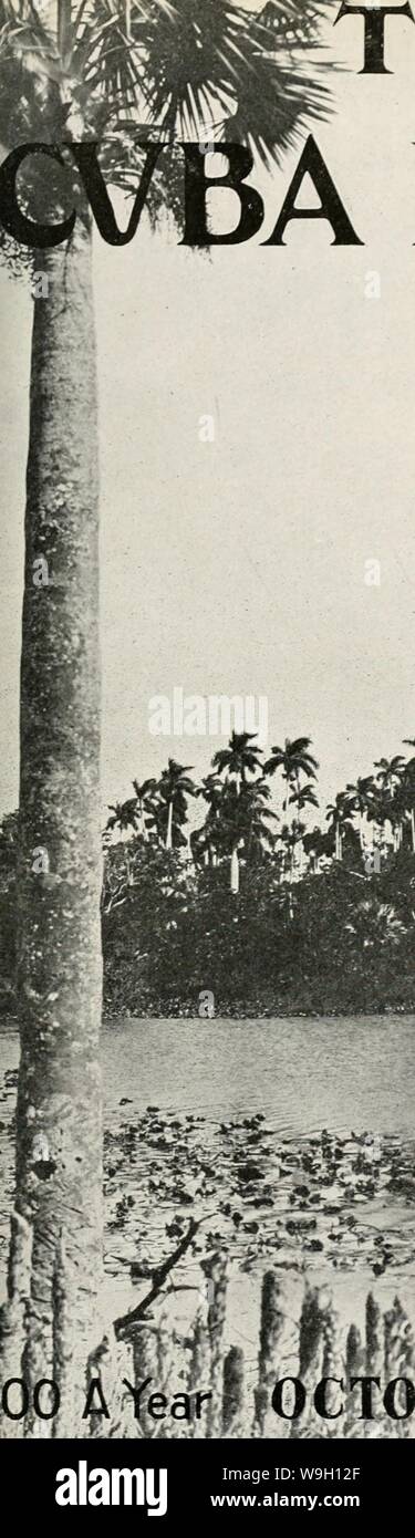 Archiv Bild von Seite 452 des Kuba (1907-1931). Der Kuba review cubareview 16 muns Jahr: 1907-1931 (♦? Vji r&lt; Stockfoto