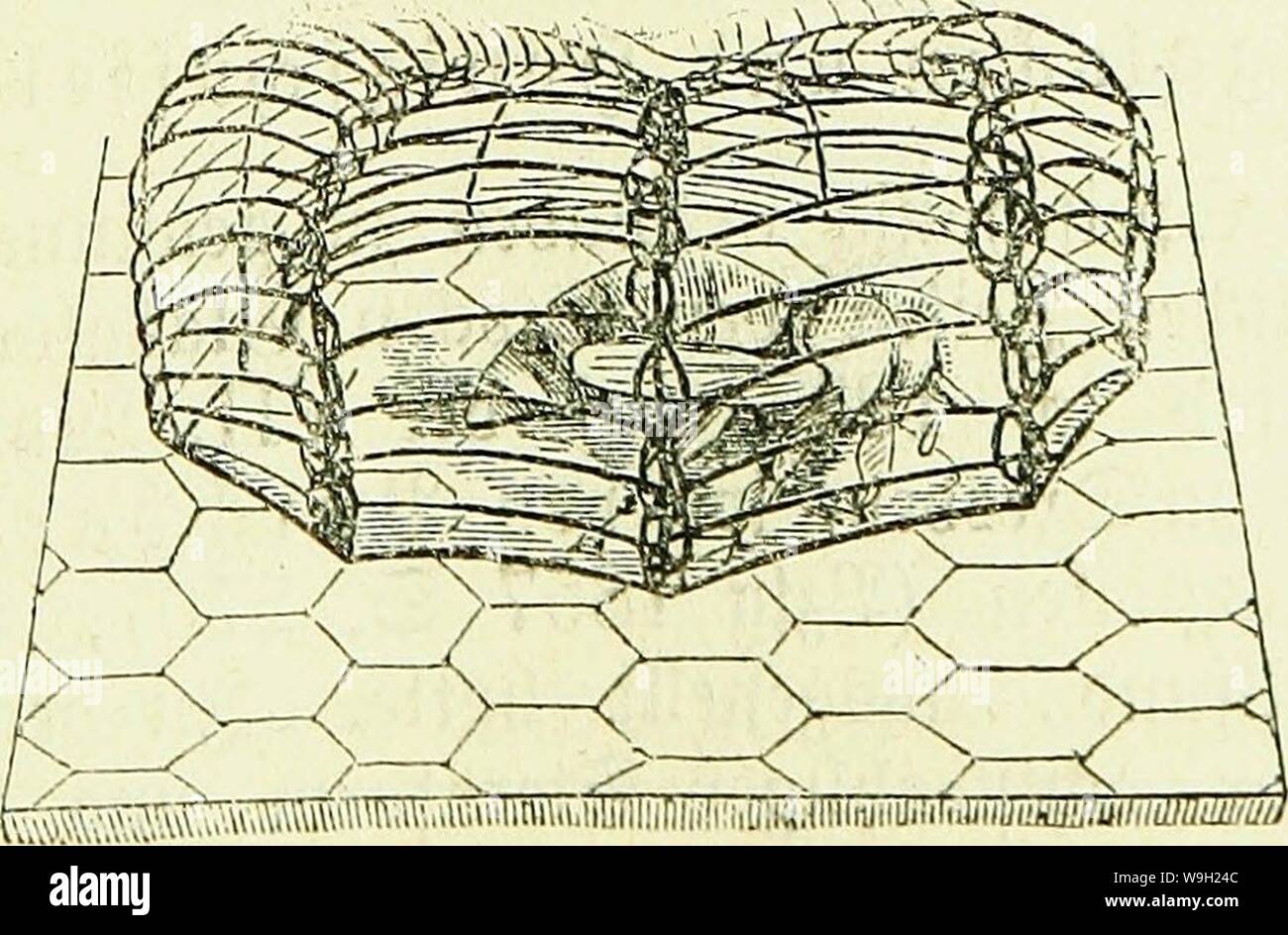 Archiv Bild von Seite 478 Biene und ihre Zucht sterben. Die Biene und ihre Zucht mit beweglichen Waben in Gegenden ohne Spätsommertracht CUbiodiversity 255004 Jahr: 1869 $ (iefe Gigur geigt Ben "oben § 2 Beifelfäfig § mit fjalb aufgesogenem en. 7. (Statt biefe §#äfig §, ber, Bon mir 'conftruirt, gur 3 Eti groeifello § ber befte ift, fjaben önljoff (SBjtg 1856. 27) unb nad) Wenn) Tn (SHettte SSjtg 1862 6. 247 w., 1866. 211 unb anbermärtS fer oft) bie au§= piepdje SSermenbung § betannten sein, au § rafjigarn befteljenben" Pfeifen - bedetä Sfift. 54 Stockfoto