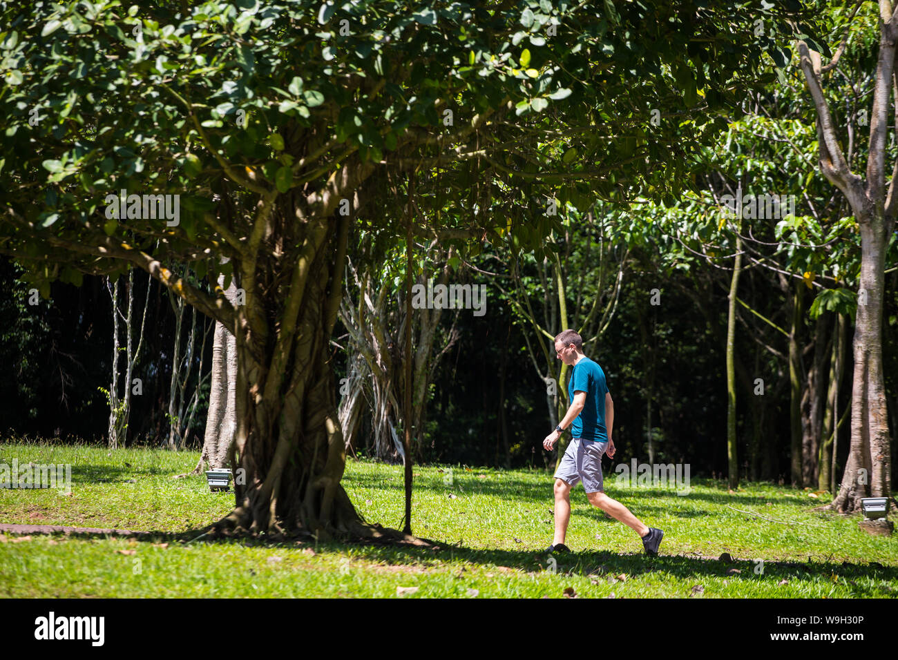 Ein Mann in blauem Hemd, der einen Spaziergang im Park macht, hilft beim Gehen Endorphine freizusetzen. Singapur. Stockfoto