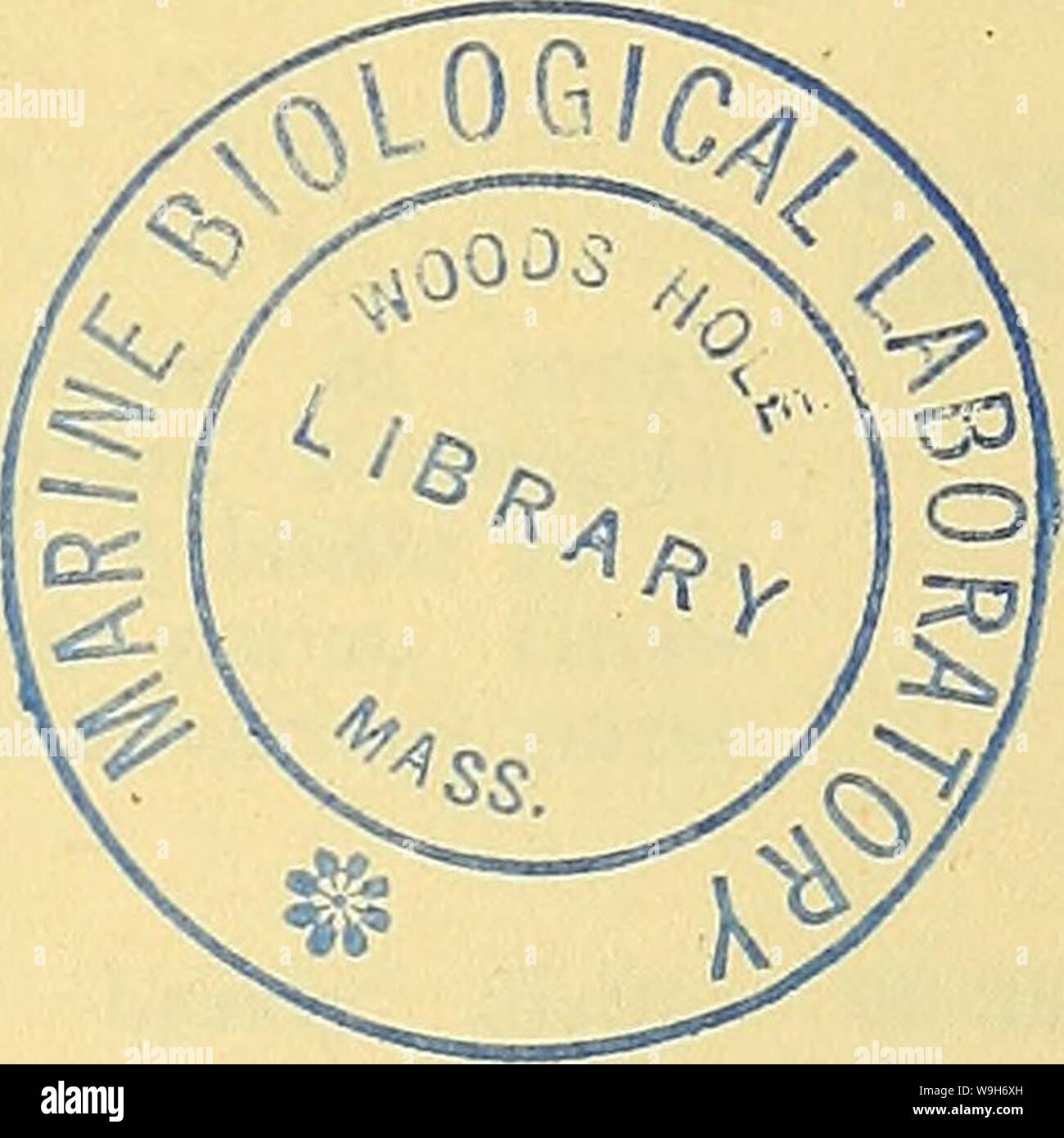 Archiv Bild ab Seite 702 Der aktuelle Bibliographie für Aquatic Sciences. Aktuelle Bibliographie für Aquatic Sciences und Fischerei currentbibliogra 41960 Essen Jahr: 1959 (aktuelle Bibliographie für AQUATIC SCIENCES UND FISCHEREI Band 4 - Erläuterung der Deckung und Anordnung 9. Errata und Ergänzungen zu 'Erklärung von Abdeckung und Anordnung' (Fortsetzung) 5. Indizes 5.1 Thema In der letzten Zeile des ersten Absatzes ersetzt: "Titel der Zeitschrift oder der Monographie oder Buch." durch "Titel des Eintrags. Dies bedeutet, dass Referenzen auf mehrere Publikationen vom gleichen Autor nicht in numerischer Reihenfolge angezeigt. Stockfoto