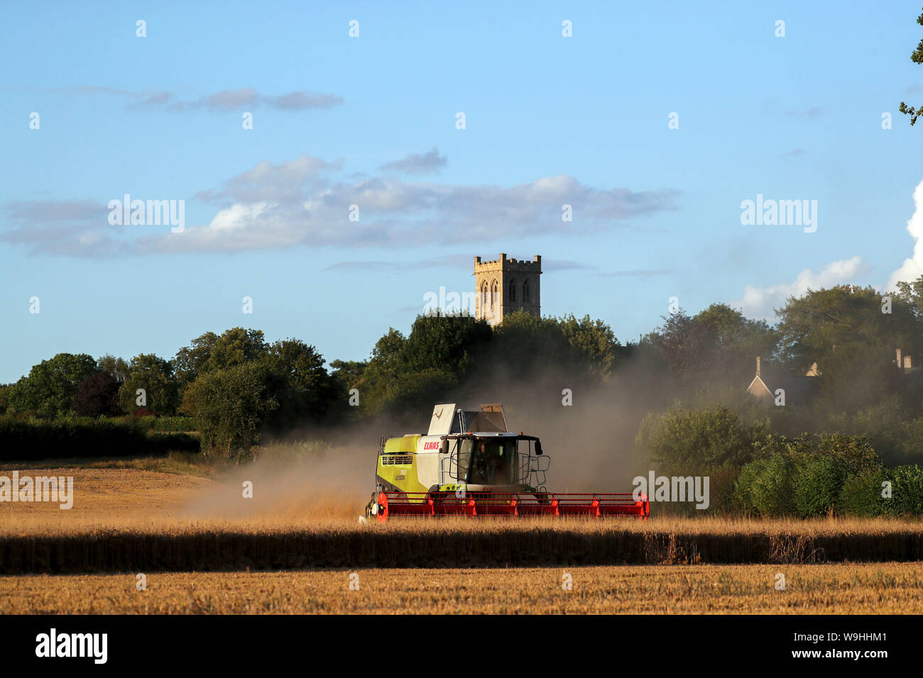 Ein Mähdrescher arbeitet in einem Feld in der Nähe von Little Milton in Oxfordshire. Stockfoto