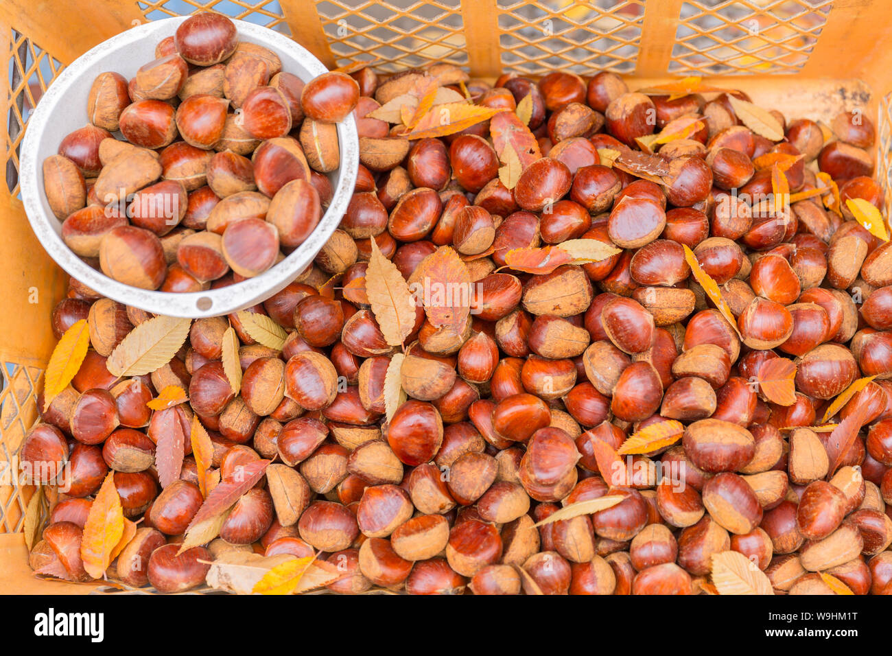 Japanische Kastanie raw uncook Verkauf in Japan Markt Stockfoto