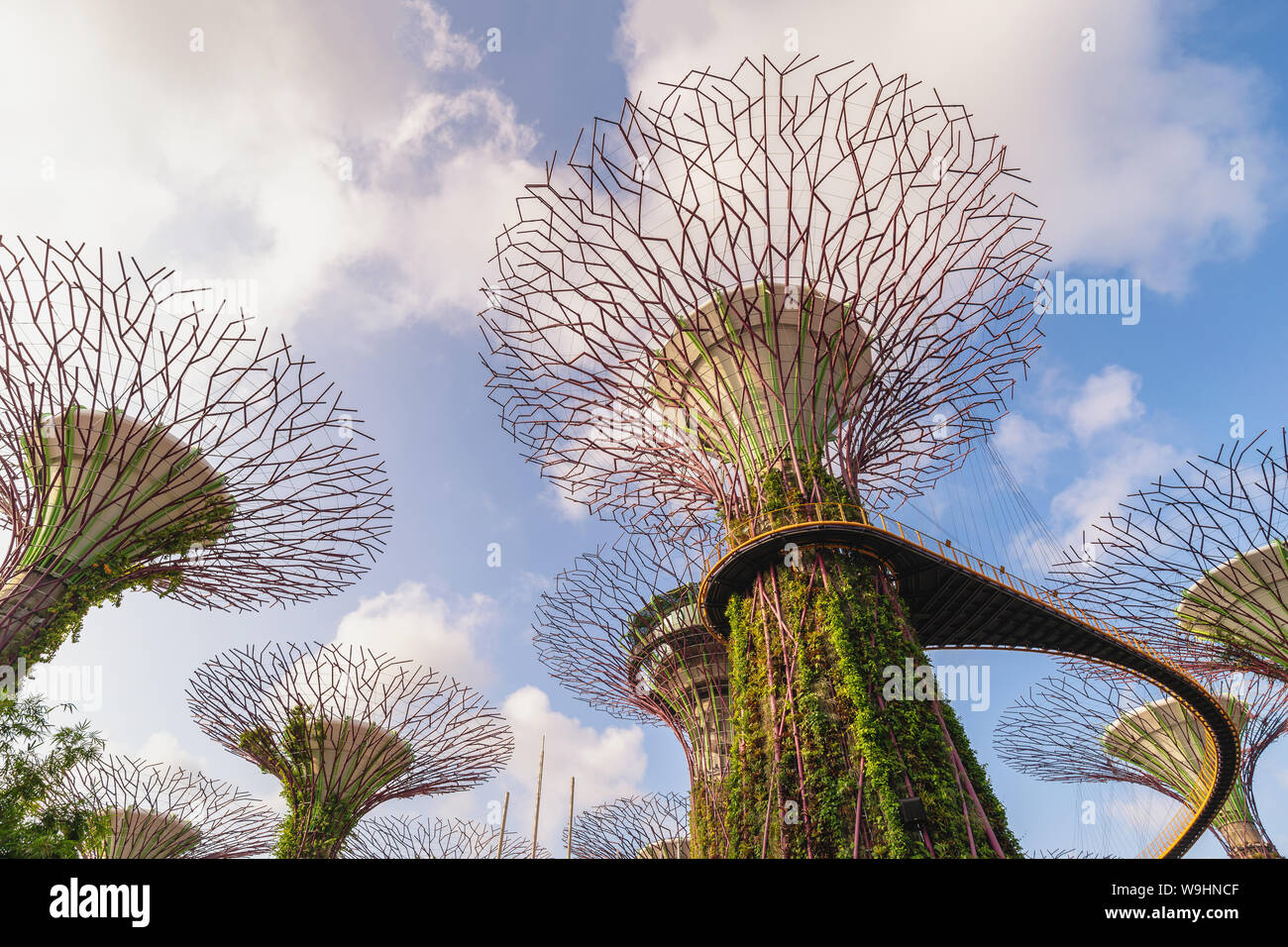 MARINA BAY, Singapore - Januar 6, 2019: Singapur Skyline der Stadt an Supertree Hain von Gärten durch die Bucht Stockfoto