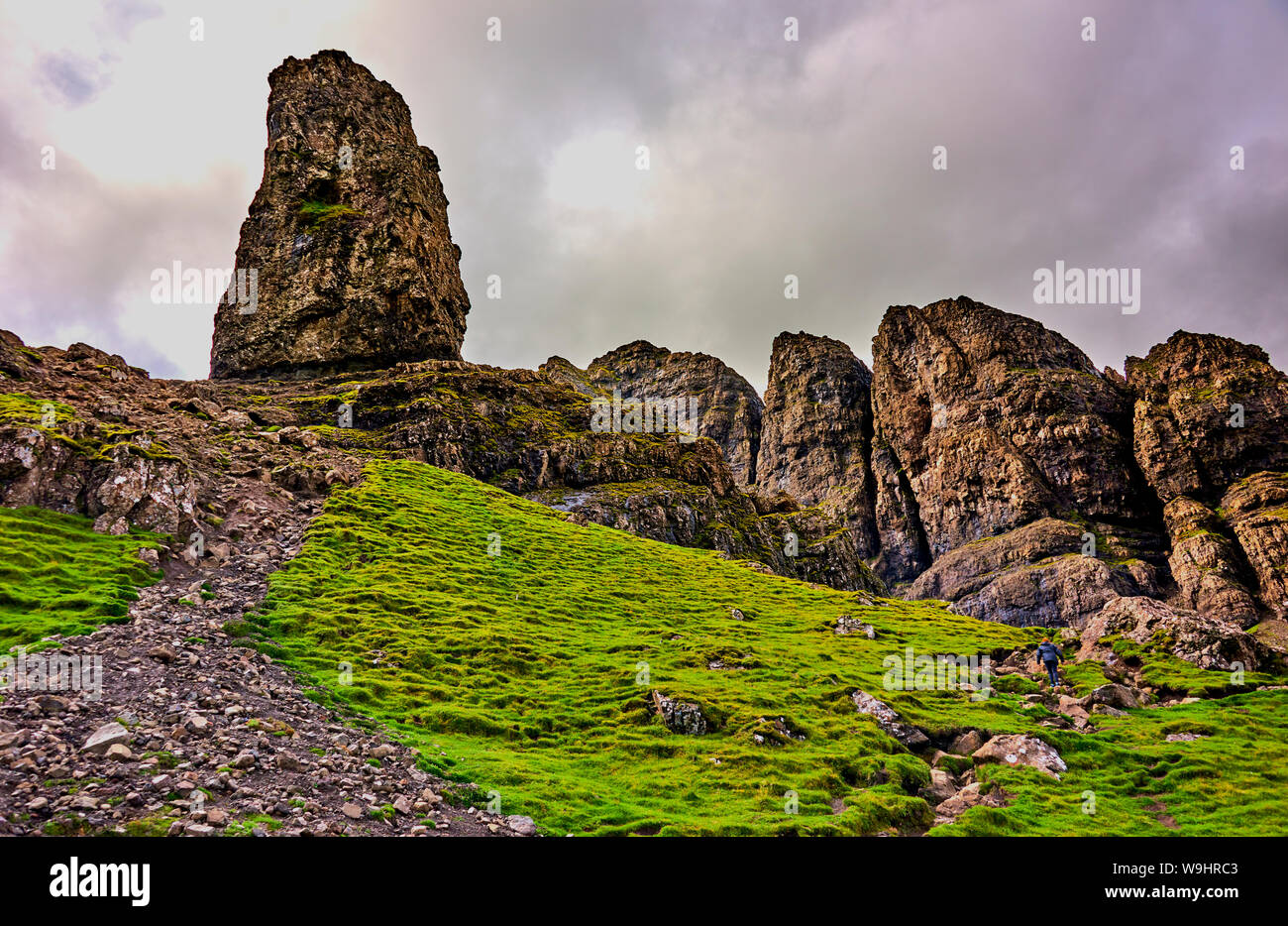 Die storr (Strs) Stockfoto